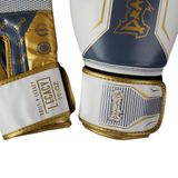 DragonDo 30117-P Legacy Boks Eldiveni Kick Boks Eldiveni (BEYAZ, 8 Oz)