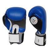 DragonDo 33099-L İFMA Onaylı Deri Muay Thai Boks Eldiveni (MAVİ, 10 Oz)