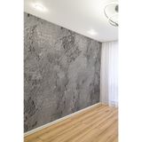 dreamwall Gri Çimento Efektli Loft Tarzı Spor Salonu & Fitness Tek Parça Tekstil Poster Duvar Kağıdı