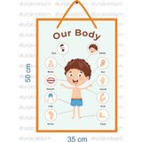 DRK PRINT PVC İNGİLİZCE VÜCÜDUMUZU TANIYALIM POSTER
