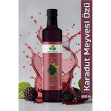 DRNATURAL Karadut Özü 670 Gr