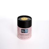 Dryfix Happy Paint Parlak Vernikli Aysun 350 cc Hobi Boyası
