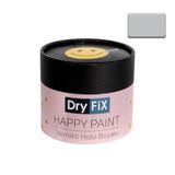 Dryfix Happy Paint Parlak Vernikli Feride 350 cc Hobi Boyası