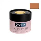 Dryfix Happy Paint Parlak Vernikli İstanbul 350 cc Hobi Boyası