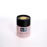 Dryfix Happy Paint Parlak Vernikli Olivia 350 cc Hobi Boyası