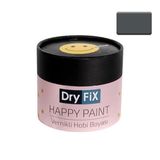 Dryfix Happy Paint Parlak Vernikli Reyhan 350 cc Hobi Boyası