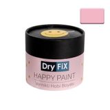 Dryfix Happy Paint Parlak Vernikli Zeynep 350 cc Hobi Boyası