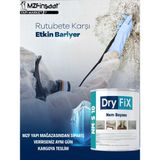 Dryfix NM-S 10 Nemeson 1 kg Nem ve Rutubet Boyası Beyaz Renkli Etkili Koruma