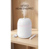 DS LLC Hava Nemlendirici 220ML Buhar Makinesi, Ofis ve Ev Ortamları Için Uygun, Kompakt ve Hafif Tasarı - Renkli