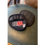 DSport Pad (EL PEDİ) Ağırlık Body Fitness Dambıl Eldiveni