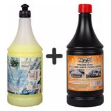 Dtx Kimya Oto Kalorifer Ve Petek Temizleme (Solventli) 1 lt & Cilalı Oto Motor Şampuanı 1 lt