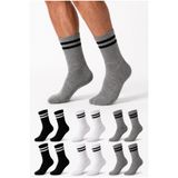 Ducks Socks Erkek 6 Çift Dikişsiz Spor Çorap Kolej Pamuklu Çizgili Uzun Konç