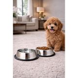 DUFFA Paslanmaz Çelik Kedi Mama Ve Su Kabı, Köpek Çelik Mama Kabı, Kaymaz Lastikli Taban, Dayanıklı Besleme Tası, Kolay Temizlenebilir, 10 oz/300 ml (2 Adet) (2 Adet 18 Cm)