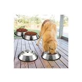 DUFFA Paslanmaz Çelik Kedi Mama Ve Su Kabı, Köpek Çelik Mama Kabı, Kaymaz Lastikli Taban, Dayanıklı Besleme Tası, Kolay Temizlenebilir, 16 oz/500 ml (2 Adet) (2 Adet 22 Cm)
