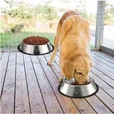 DUFFA Paslanmaz Çelik Kedi Mama Ve Su Kabı, Köpek Çelik Mama Kabı, Kaymaz Lastikli Taban, Dayanıklı Besleme Tası, Kolay Temizlenebilir, 16 oz/500 ml (22 Cm)