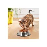 DUFFA Paslanmaz Çelik Kedi Mama Ve Su Kabı, Köpek Çelik Mama Kabı, Kaymaz Lastikli Taban, Dayanıklı Besleme Tası, Kolay Temizlenebilir, 8 oz/250 ml (16 Cm)