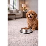 DUFFA Paslanmaz Çelik Kedi Mama Ve Su Kabı, Köpek Çelik Mama Kabı, Kaymaz Lastikli Taban, Dayanıklı Besleme Tası, Kolay Temizlenebilir,10 oz/300 ml (18 Cm)