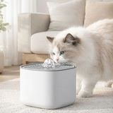Dugie Lotte Kedi Su Pınarı Aktif Karbon Filtreli