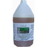 DULSWEET Agave Şurubu 5 kg