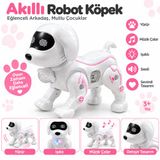 Duman Pilli Robot Köpek Oyuncak – Işıklı, Sesli ve Yürüyen
