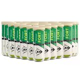 Dunlop Fort All Court Ts 3'Lü Koli Tenis Topu