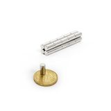 Dünya Magnet 10 Adet Çap 5Mm X Kalınlık 8Mm Silindir Güçlü Neodyum Mıknatıs