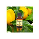 Dünya Magnet Mango Mum Esansı, Uçucu Yağ Soya Wax Esans, Buğurdanlık Yağı, Aromatik Kurutma Topu Kokusu