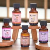 Dünya Magnet Popüler Mum Esansı Seti, Amber Çikolata Lavanta Sandal Vanily, Soya Wax Parafin Jel Mum Kokusu - Renkli