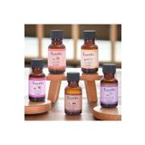 Dünya Magnet Popüler Mum Esansı Seti, Amber, Çikolata, Lavanta, Sandal, Vanilya, Wax Parafin, Jel Mum Kokusu