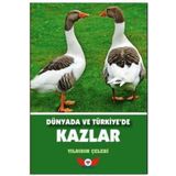 Dünyada ve Türkiye’de Kazlar - Yıldırım Çelebi