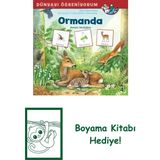 Dünyayı Öğreniyorum Ormanda Resimli Sözlüğüm + Boyama Kitabı