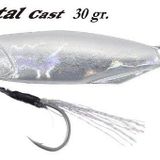 Duo Drag Metal Cast Jig 30 gr PDA0005 Silver Suni Balık Yemi