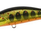 Duo Spearhead Ryuki 50S Takumi MCC4084 Gold Yamame Suni Balık Yemi