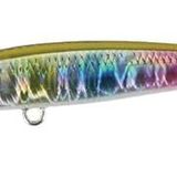 Duo Tetra Works Toto Slim 50S CPA0608 Gold Rainbow Suni Yem