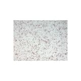 DURAKS DKS - 1 No: 23) 4 m² | İpek Sıva & Canlı Sıva & Pamuk Sıva & Yalıtımlı ve Dekoratif Sıva