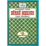 DÜRRÜ MEKNUN İNCİ DIZILERI - MUHYIDDIN ARABI, ŞEVKET GÜREL