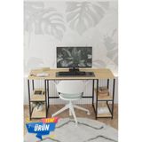 Durusilya Mobilya 140X50 Cm Metal Çalışma Bilgisayar Ofis Masası Kitaplıklı