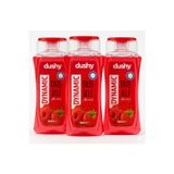 Dushy Dynamıc Ahududu Duş Jeli 500Ml 3 Adet