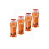 Dushy Serenıty Oryantal Esintisi Duş Jeli 500Ml 4 Adet