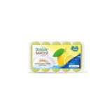 Düşler Bahçesi Limonlu Kalıp Sabun 5 Adet