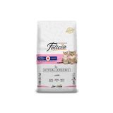 Düşük Tahıllı Hipoalerjenik Kuzu Etli Anne Yavru Kedi Maması 12 Kg