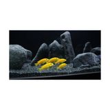 Dutak Akvaryum Kumu Bazalt 5 kg (1-3 Mm) - (2-4 Mm) Bitki Kumu