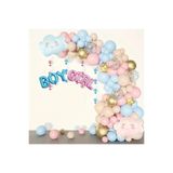 DÜVENCİ TİCARET GIRL BOY BULUT FOLYO CİNSİYET BELİRLRME BALON SET