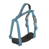 Duvo+ 30-40 cm 15 mm Petrol Köpek Göğüs Tasması