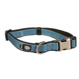 Duvo+ 35-55 cm 20 mm Petrol Köpek Boyun Tasması