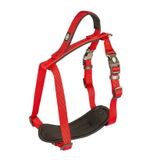 Duvo+ 50-65 cm 20 mm Kırmızı Köpek Göğüs Tasması