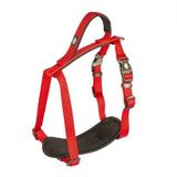 Duvo+ 65-80 cm 25 mm Kırmızı Köpek Göğüs Tasması