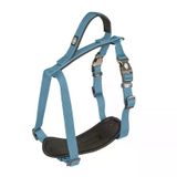 Duvo+ 65-80 cm 25 mm Petrol Köpek Göğüs Tasması