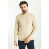 Düz Bej Slim Fit Bisiklet Yaka Yün Erkek Triko Kazak