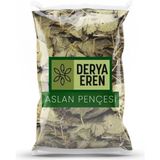 DVD Lokman Aktar Testere Dişli Aslan Pençesi 20 gr (Paket-Bitki) - 1 adet